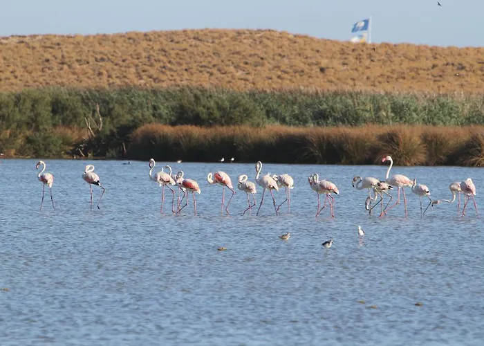 شقة T1 Herdade Dos Salgados *