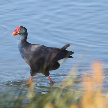 Διαμέρισμα T1 Herdade Dos Salgados Αλμπουφέιρα