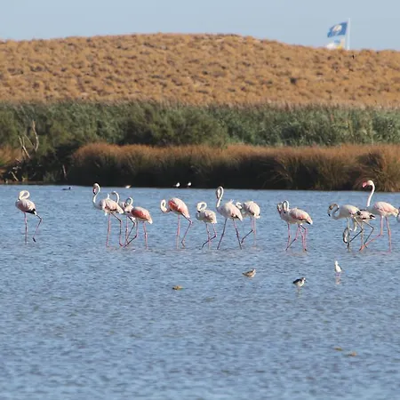 Διαμέρισμα T1 Herdade Dos Salgados *